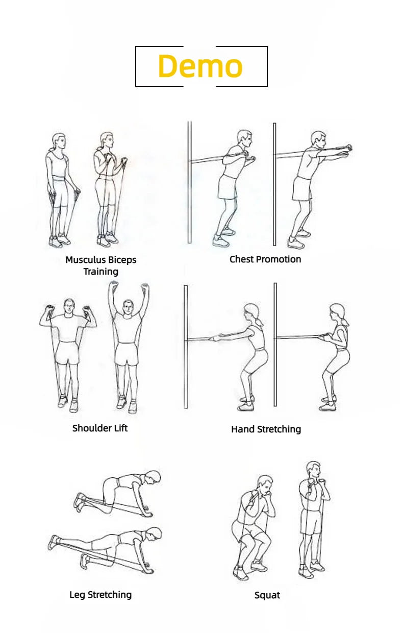 5 niveaux d'élastiques de résistances pour entrainement de fitness